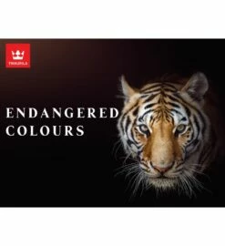 Endangered Colours Collection -Tikkurila Sales Endangered Colours Header Image March 2021 updated 1