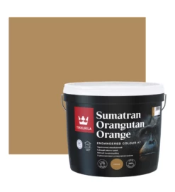 Endangered Colours Collection -Tikkurila Sales Endangered Colours Sumatran Orangutan Orange 1