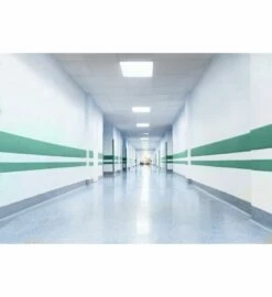 Luja 40 12 Luja 40 -Tikkurila Sales Tikkurila walls shutterstock 266939840 5 1